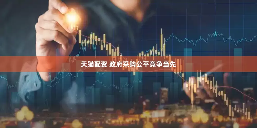 天猫配资 政府采购公平竞争当先
