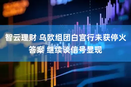智云理财 乌欧组团白宫行未获停火答案 继续谈信号显现