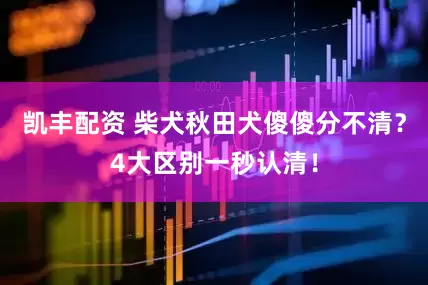 凯丰配资 柴犬秋田犬傻傻分不清？4大区别一秒认清！