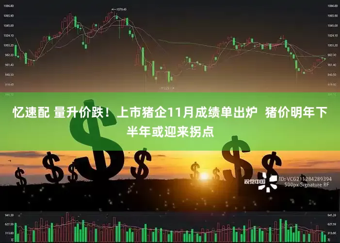 忆速配 量升价跌！上市猪企11月成绩单出炉  猪价明年下半年或迎来拐点