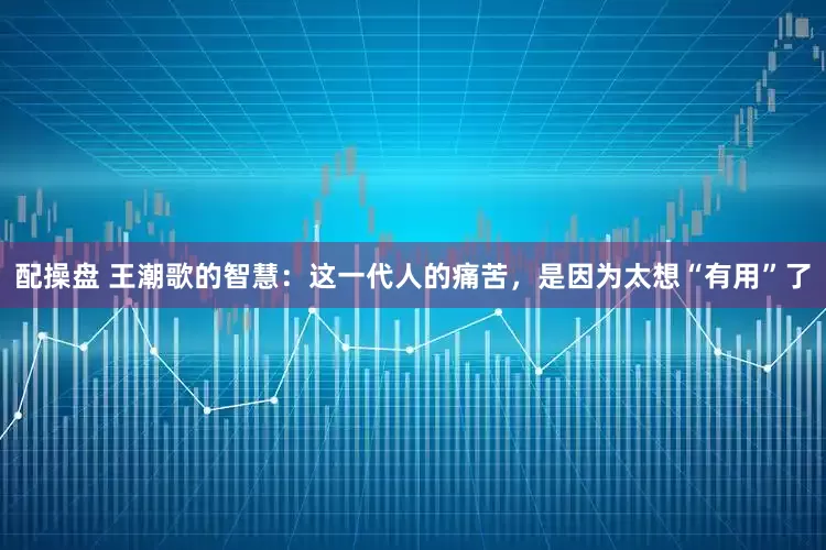 配操盘 王潮歌的智慧：这一代人的痛苦，是因为太想“有用”了